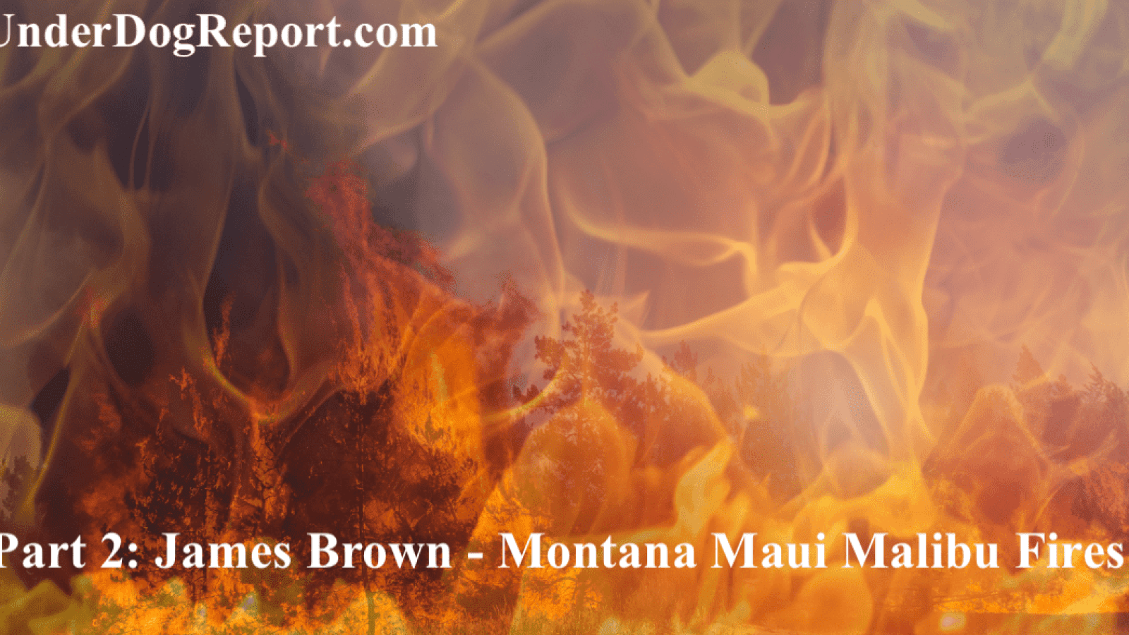 Part 2 James Brown - Montana Maui Malibu Fires..png