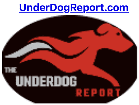 UnderDog Report Icon and Web Site