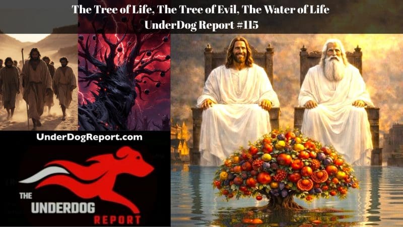 The Tree of Life - The Tree of Evil - The Water of Life - UnderDog Report #115